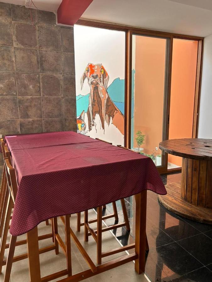 Villa Palmarina プライア エクステリア 写真